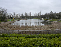 Agrandir l'image (fenêtre modale)