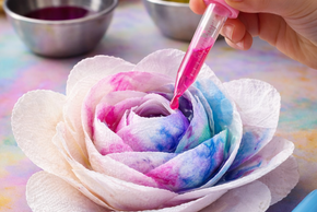 Agrandir l'image, fenêtre modale