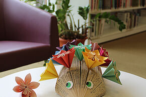 Agrandir l'image, fenêtre modale