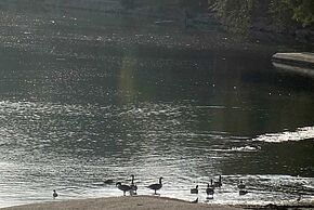 Mémoire des inondations - Agrandir l'image, fenêtre modale