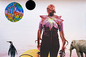 Agrandir l'image, fenêtre modale