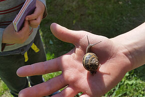 Agrandir l'image, fenêtre modale