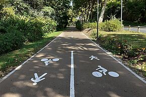 Agrandir l'image, fenêtre modale