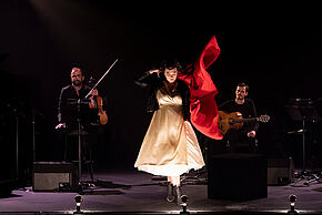 Agrandir l'image, fenêtre modale