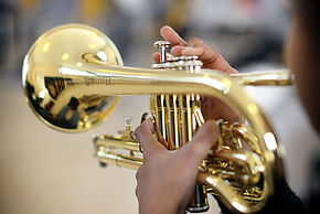 Agrandir l'image, fenêtre modale