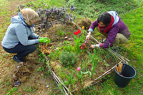 MEV - Atelier jardinage - Agrandir l'image, fenêtre modale