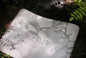 Agrandir l'image, fenêtre modale