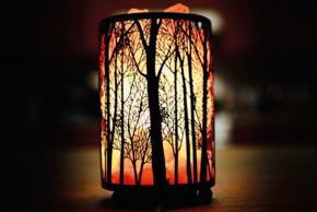 Agrandir l'image, fenêtre modale