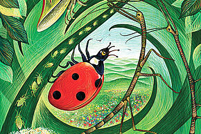 Agrandir l'image, fenêtre modale