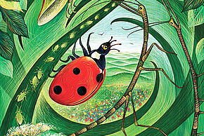 Agrandir l'image, fenêtre modale