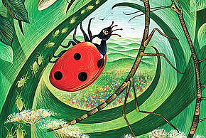 Agrandir l'image, fenêtre modale