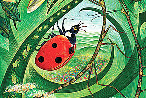 Agrandir l'image, fenêtre modale