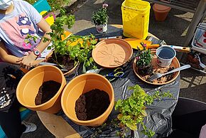 Agrandir l'image, fenêtre modale